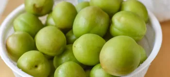روش خشک کردن گوجه سبز به ساده ترین روش