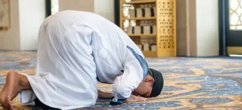 حکم بجا نیاوردن سجده سهو در نماز