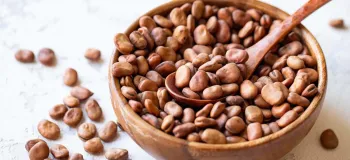 خواص و فواید باقلا پخته در رژیم غذایی و سلامتی