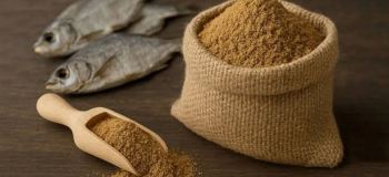 آیا با خواص فوق العاده ی پودر ماهی آشنا هستید؟