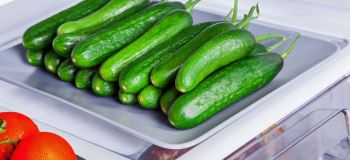 نشانه های خرابی خیار؛ از کجا بفهمیم خیار خراب شده است؟