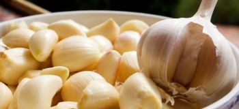 آیا سیر زرد شده قابل خوردن است؟