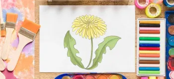 قدم به قدم روش کشیدن نقاشی گل قاصدک برای کودکان