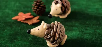 آموزش ساخت جوجه تیغی با میوه کاج
