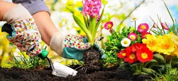 جدیدترین متن های روز جهانی باغبانی به انگلیسی همراه با ترجمه !