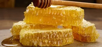 روز عسل چه روزی است ؟