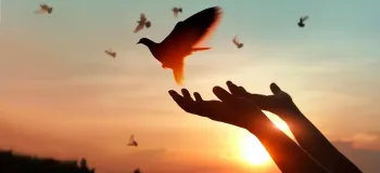 زیباترین متن های تبریک روز جهانی بخشش به انگلیسی