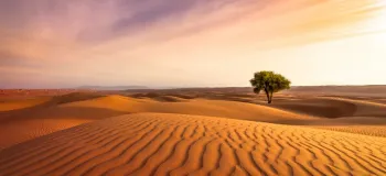 این عکس های کویر رو هیچ جایی ندیدی !