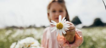 خواص بابونه برای کودکان، از درمان کولیک تا بهبود خواب + نحوه مصرف ایمن