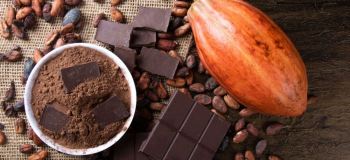 همه چیز درباره خواص کاکائو برای مردان و زنان + نکات مصرف و موارد احتیاط