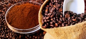 عربیکا یا روبوستا؛ کدام قهوه برای شما مناسب تر است؟