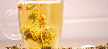 خواص دمنوش خارخاسک + طرز تهیه، دوز مصرف و عوارض
