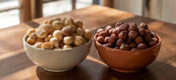 تفاوت ماکادمیا و فندق، از طعم و ظاهر تا خواص و قیمت