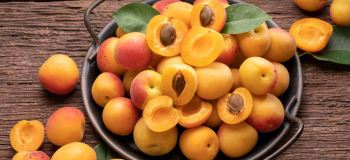 خواص زردآلو برای لاغری : چقدر و چه زمانی بخوریم؟