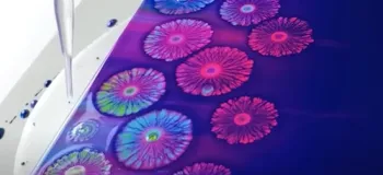 نقاشی آتش بازی با مایع ظرف شویی / ایده ای خلاقانه و متفاوت برای تازه کارها