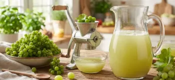 طرز تهیه آبغوره بدون جوشاندن؛ آبغوره بدون جوشاندن بهتر است یا با جوشاندن؟