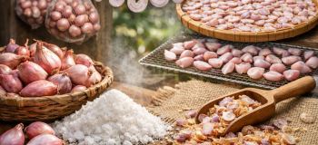 روش خشک کردن موسیر؛ آموزش تهیه موسیر خشک خانگی