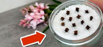 ساخت خوشبوکننده خانگی با نمک، اسانس و میخک؛ ساده و کم هزینه