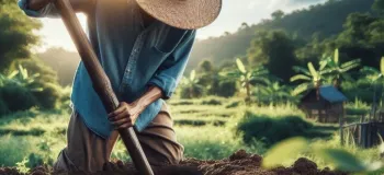 معنی ضرب المثل چاه مکن بهر کسی اول خودت دوم کسی + داستان و عکس