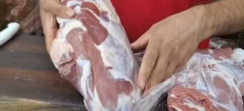 تشخیص گوشت بره از گوشت میش سن سال دار / نکات کاربردی برای تشخیص گوشت خوب