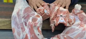 انتخاب بهترین گوشت قرمز برای خورشت / کدام قسمت گوشت گوسفند برای خورشت بهتر است