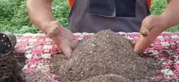 نحوه ساخت خاک باغچه و گلدان / خاک باغچه را اینجوری درست کنید