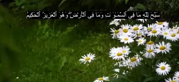 دانلود کامل سوره صف صوتی با کیفیت بالا