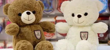 آموزش ۴ نکته شستن عروسک ها در خانه!