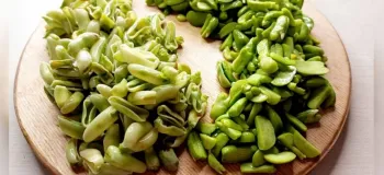 ده کیلو باقالی رو یه ساعته پاک کن / ترفند کندن پوست باقالی یه روش سه سوته برای پاک کردن باقالی