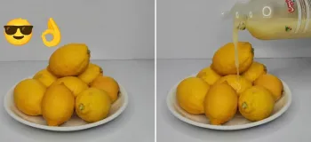 صفر تا صد نگهداری آبلیمو طبیعی و لیمو تازه برای مدت طولانی / فرق بین لیموهای سبز و زرد و طرز استفاده