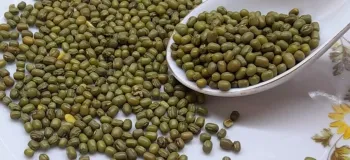 با ماش اینو بپز! انگشتاتم باهاش میخوری از بس خوشمزس ، غذای سالم و مقوی برای همه سنین