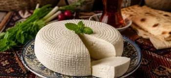 طرز تهیه پنیر خانگی با آبلیمو؛ ساده ترین روش تهیه پنیر تازه و خوشمزه در خانه