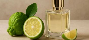 بهترین عطر با بوی ترنج برای آقایان و بانوان؛ ۱۲ انتخاب جذاب برای عاشقان رایحه های مرکباتی