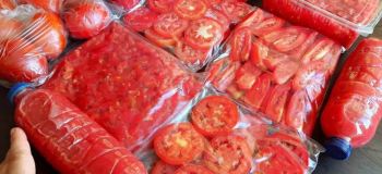 نگهداری گوجه فرنگی در فریزر؛ ترفند اقتصادی برای جلوگیری از خراب شدن گوجه و استفاده در تمام سال