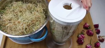 سمنو عصاره‌ی شیرین جوانه‌ی گندم نشانه صبر و برکت و بر سفره‌ی هفت‌سین نویدبخش سالی سرشار از نیکی!