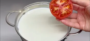 فقط کافی است به ۱ لیتر شیر گوجه فرنگی اضافه کنید!