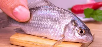 بهترین فیلم آشپزی مینیاتوری | طرز تهیه ماهی بخارپز مینیاتوری در مینی آشپزخانه!