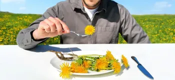 من ۳ روش شگفت انگیز برای خوردن قاصدک را آزمایش کردم!