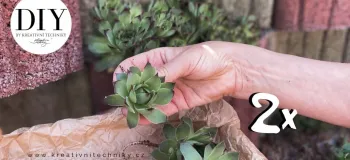۲ تزیینات طبیعی ساده که باغ شما را زیباتر میکند!