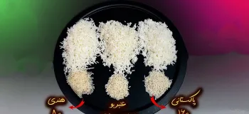 کدوم برنج ارزش خرید داره ؟ نتیجه شگفت انگیز تست امروز!