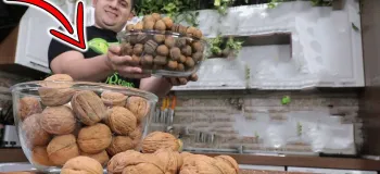 دیگه نمیتونن سرت کلاه بزارن / خرید بهترین گردو بازار با چند روش ساده!