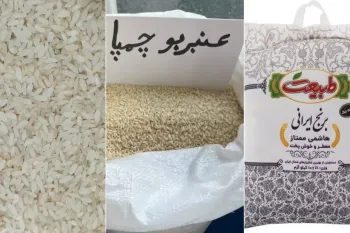 قیمت انواع برنج ایرانی