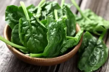 خواص و ارزش غذایی اسفناج برای کودکان