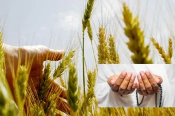 زکات باطنی چیست؟ پاکسازی روح و تزکیه نفس
