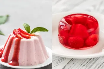 ژله با پودینگ چه فرقی دارد ؟
