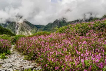 پارک ملی کلادو / بهشت طبیعی در هند