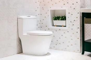 بهترین راهکار و نکات موثر برای پیشگیری و از بین بردن سوسک ها در توالت