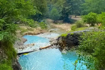 جنگل بلیران / بهشتی پنهان در مازندران