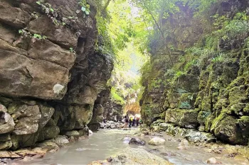 تنگه دار نوشهر مازندران / بهشت عکاسی با انعکاس زمردین آب