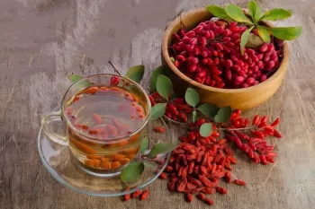آیا زرشک باعث لاغری می شود؟